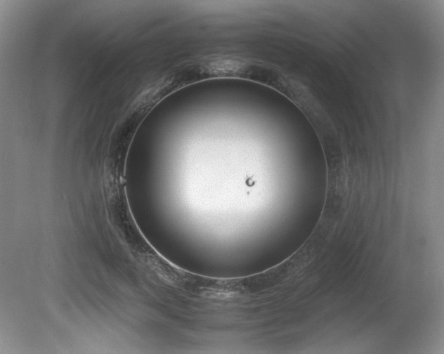X0000080780743200612151428
