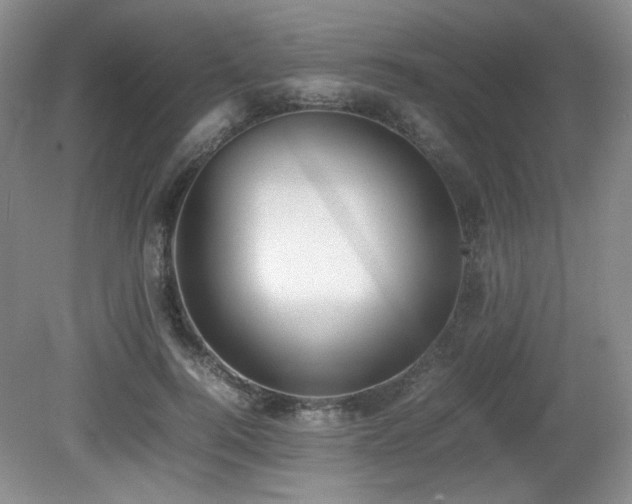 X0000080780744200612151428
