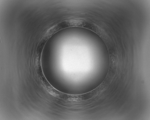 X0000080780745200612151428
