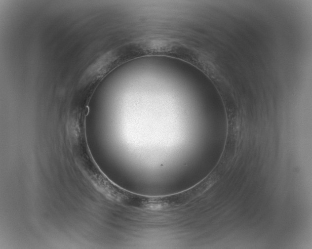 X0000080780746200612151428