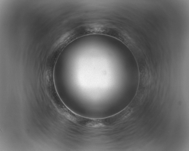 X0000080780747200612151428