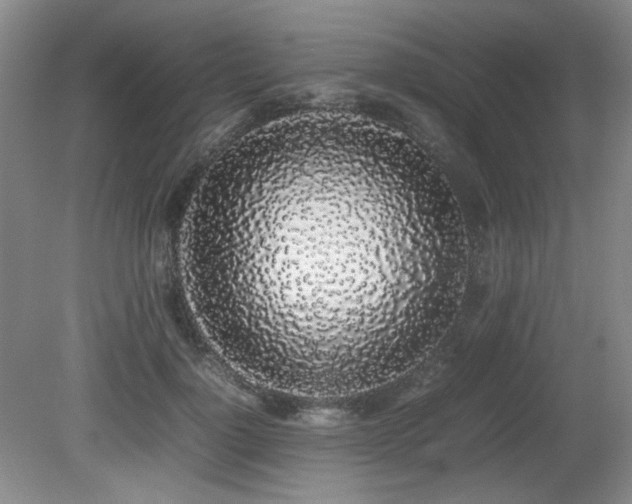 X0000080780748200612151428