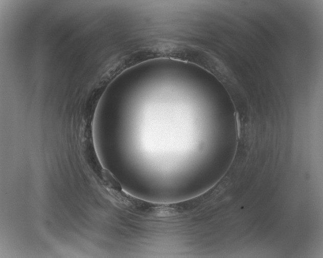 X0000080780750200612151428