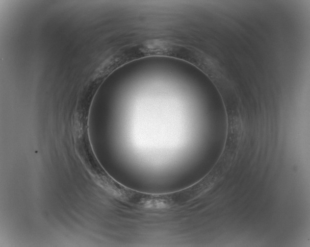 X0000080780751200612151428