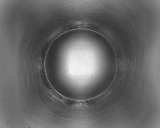 X0000080780752200612151428