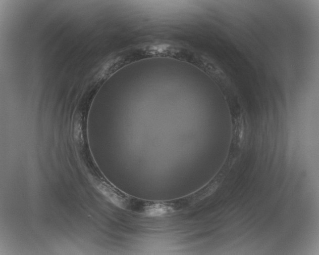 X0000080780754200612151428