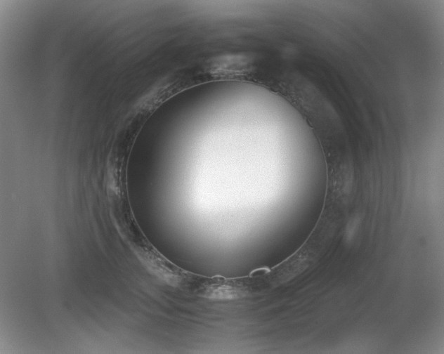 X0000080780755200612151428