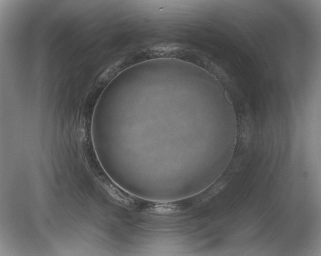 X0000080780758200612151428