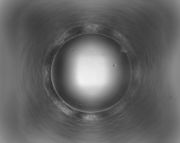 X0000080780759200612151428