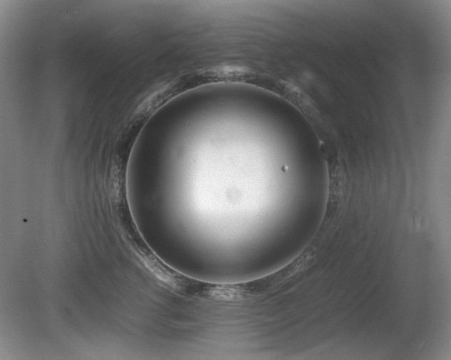 X0000080780762200612151429