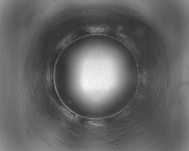 X0000080780763200612151429