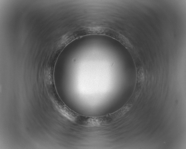 X0000080780764200612151429
