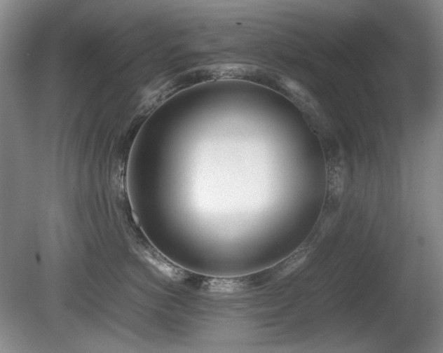 X0000080780766200612151429
