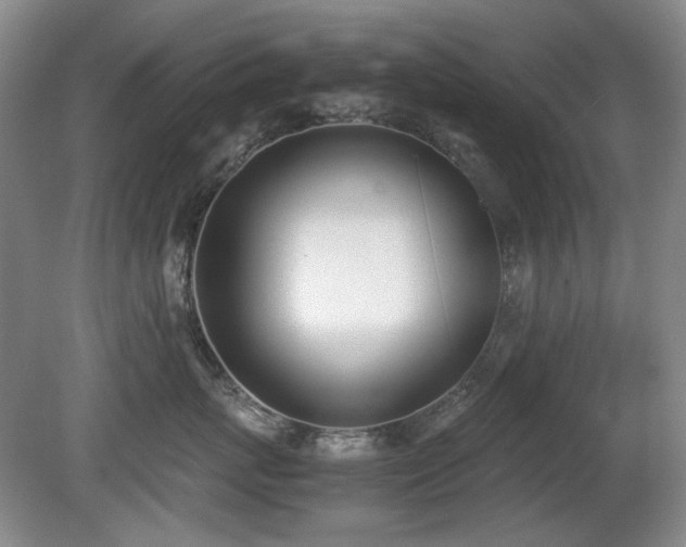 X0000080780767200612151429