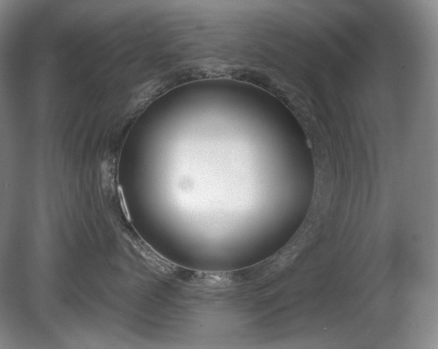 X0000080780768200612151429