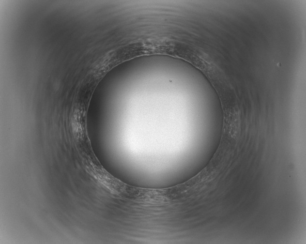 X0000080780770200612151428