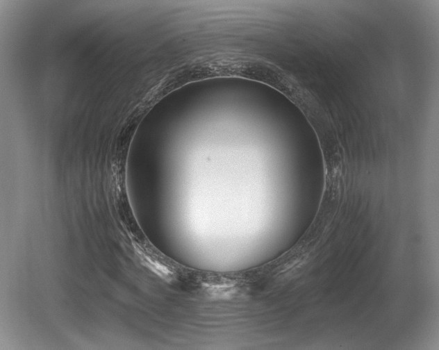 X0000080780772200612151428