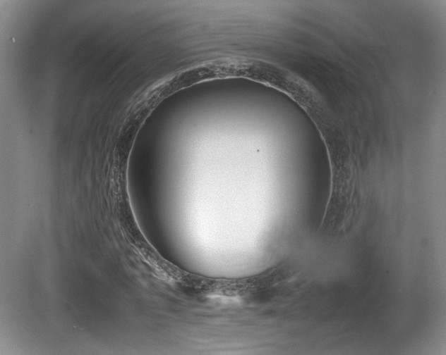 X0000080780773200612151428