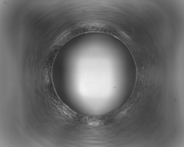 X0000080780774200612151428