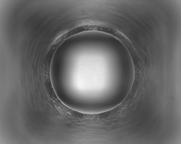 X0000080780775200612151428