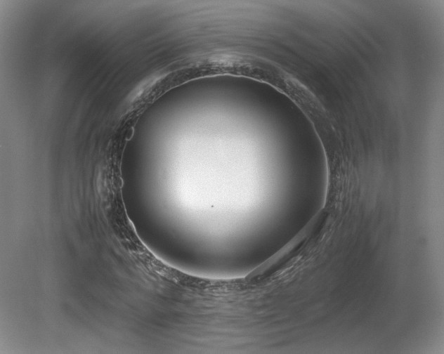 X0000080780776200612151428