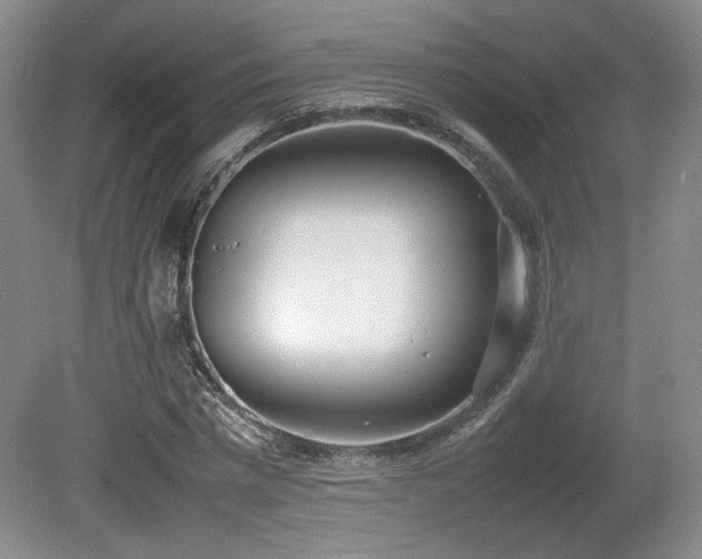 X0000080780777200612151428