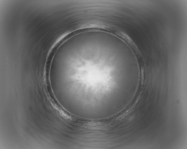 X0000080780780200612151428
