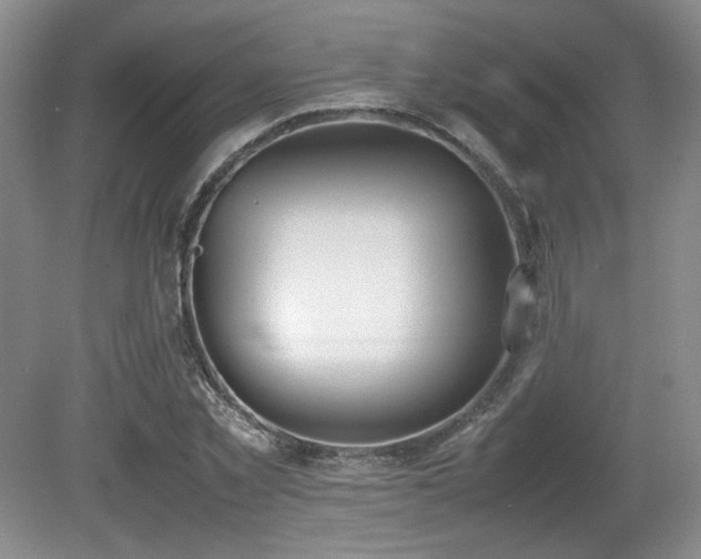 X0000080780781200612151428