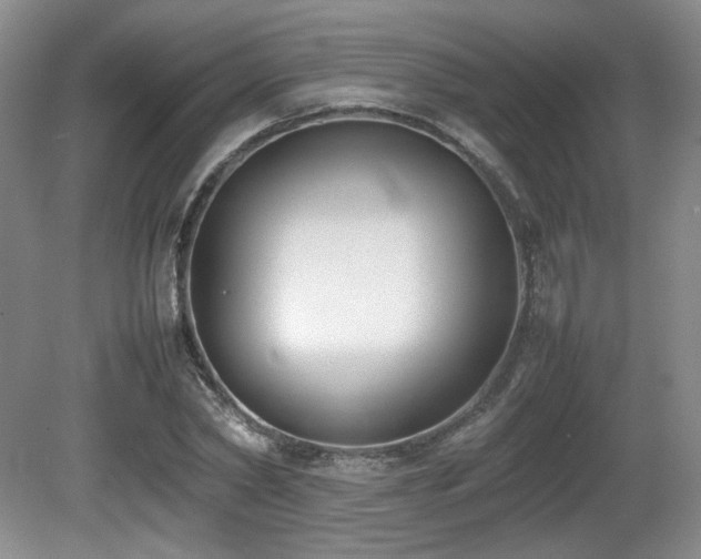 X0000080780782200612151428
