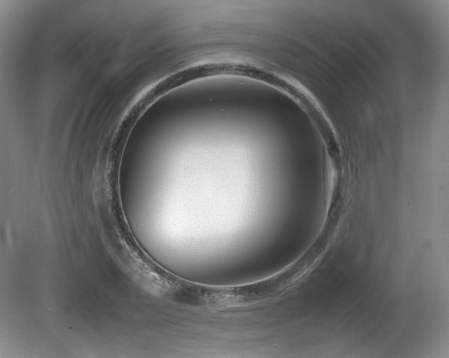 X0000080780783200612151428