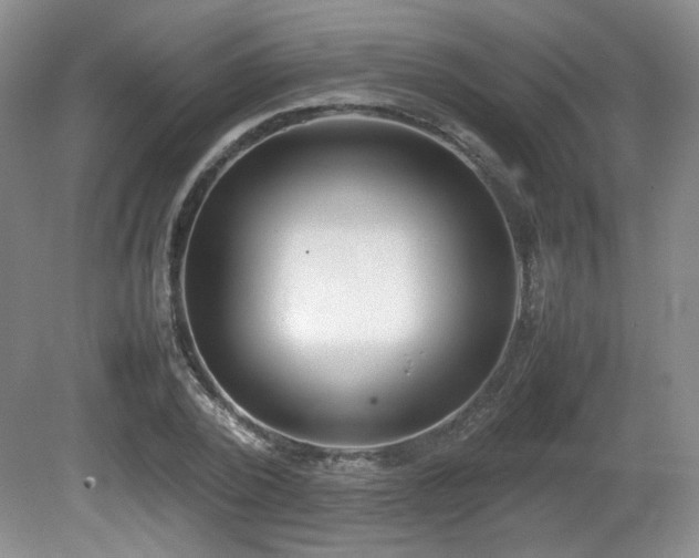 X0000080780784200612151428