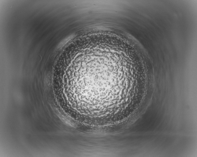 X0000080780785200612151428
