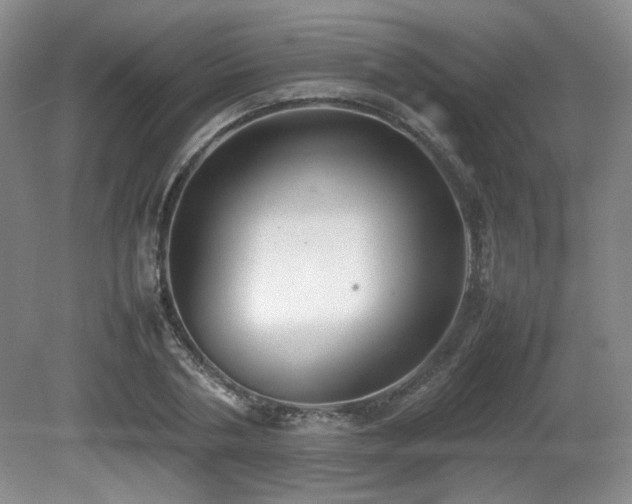 X0000080780786200612151428