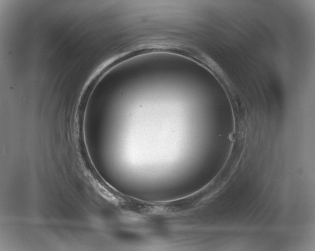 X0000080780787200612151428