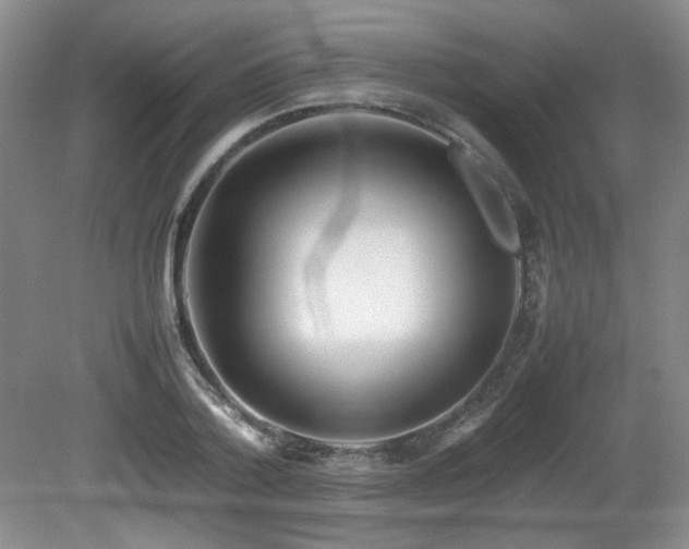 X0000080780788200612151428