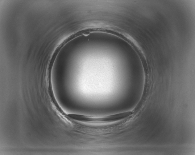 X0000080780791200612151427