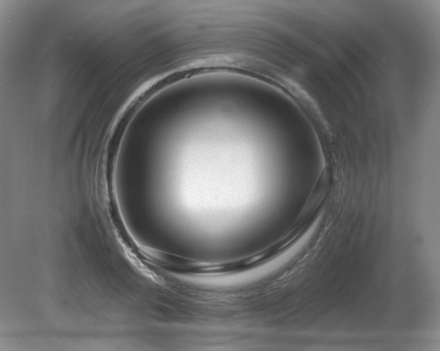 X0000080780792200612151427