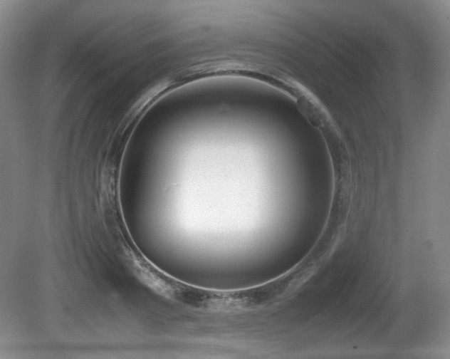 X0000080780793200612151427