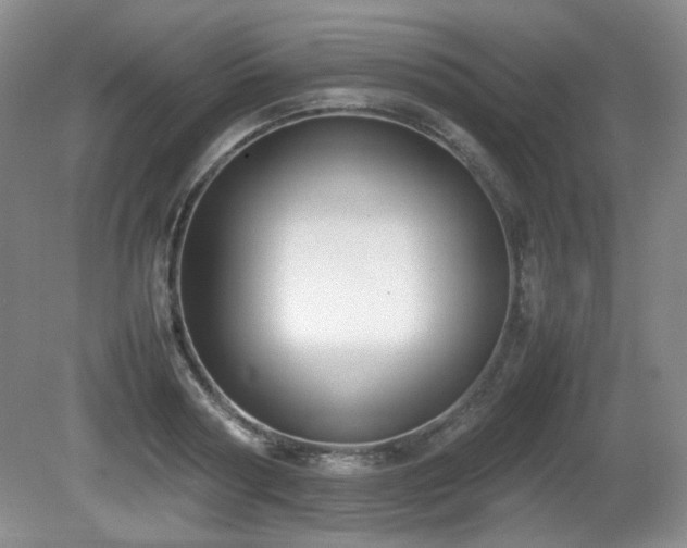 X0000080780794200612151427