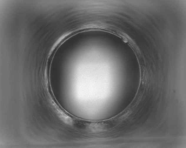 X0000080780796200612151427