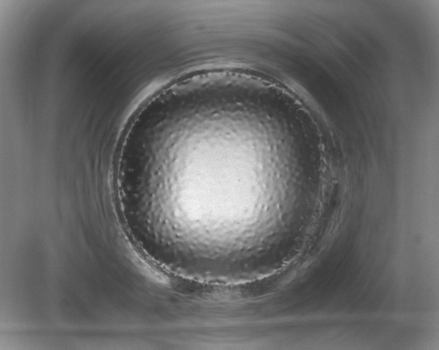 X0000080780797200612151427