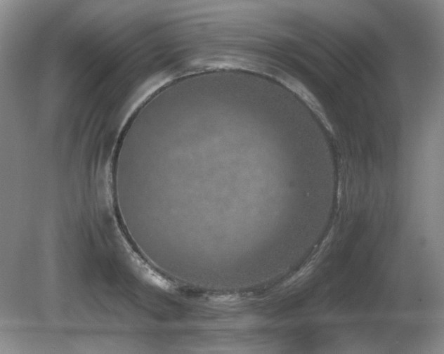 X0000080780798200612151427