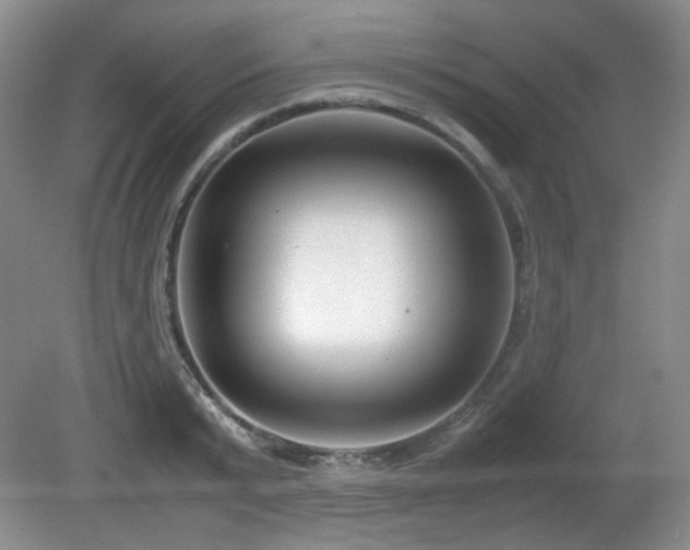 X0000080780799200612151427