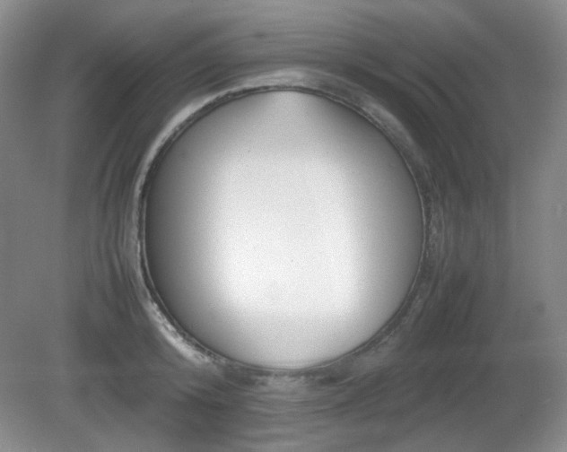 X0000080780800200612151427