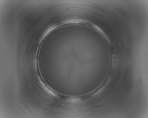 X0000080780802200612151427