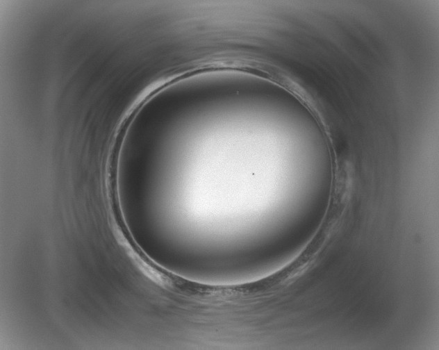 X0000080780803200612151427