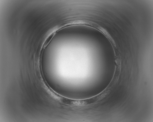 X0000080780805200612151427