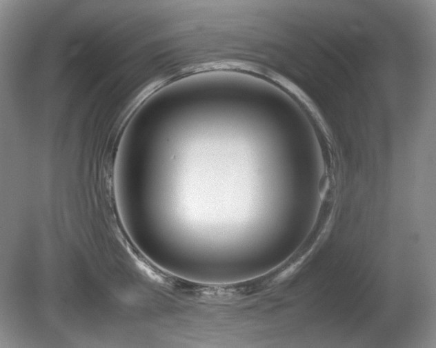 X0000080780809200612151427