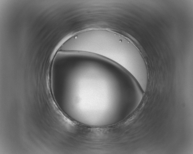 X0000080780812200612151427