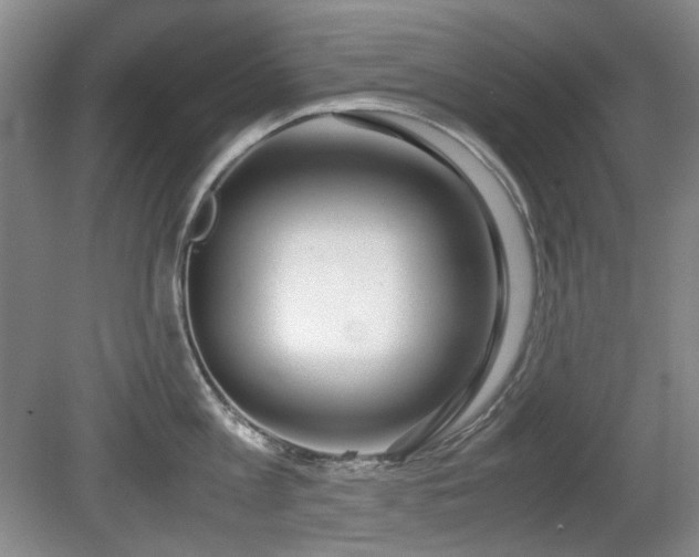 X0000080780813200612151427